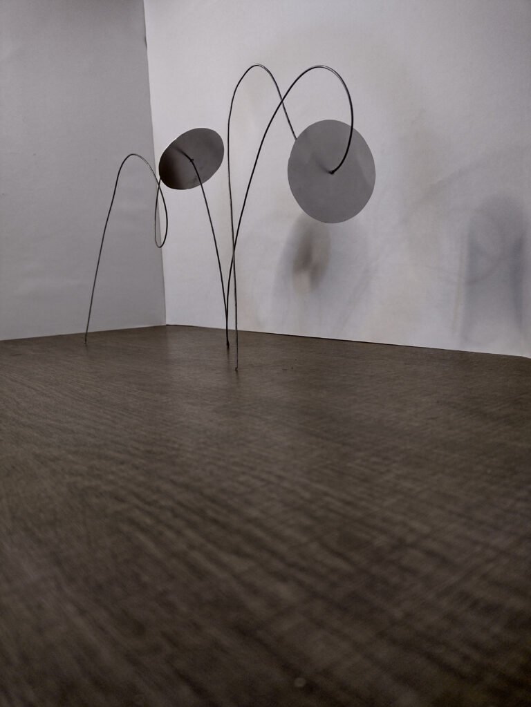 IMG_20230528_172831919_HDR